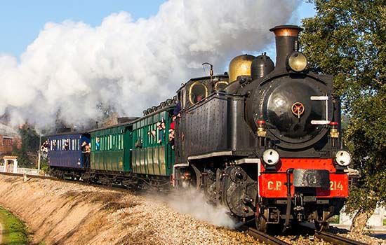 Comboio Hist\u00f3rico do Vouga - Especial Natal (c\/ visita ao \u00c1gueda Natal e Museu Ferrovi\u00e1rio)