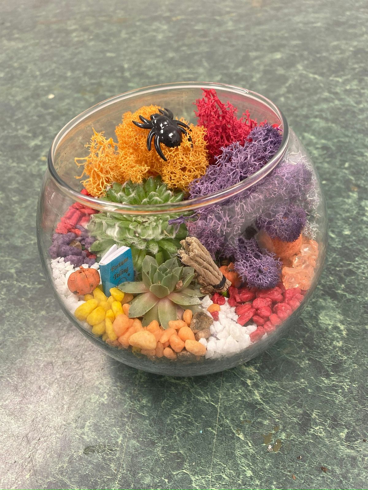 Halloween Open Glass Terrarium