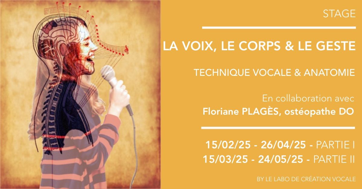 STAGE La voix, le corps & le geste - Technique vocale & anatomie