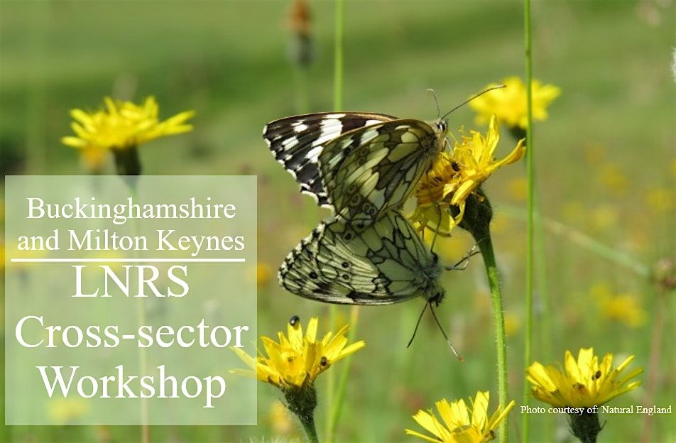 LNRS Workshop: Invite for Councils (Town \/ City \/ Parish \/ County)