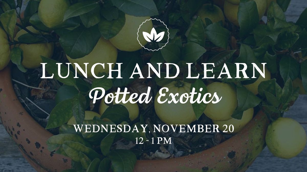 Lunch & Learn: Potted Exotics at Convivium Urban Farmstead