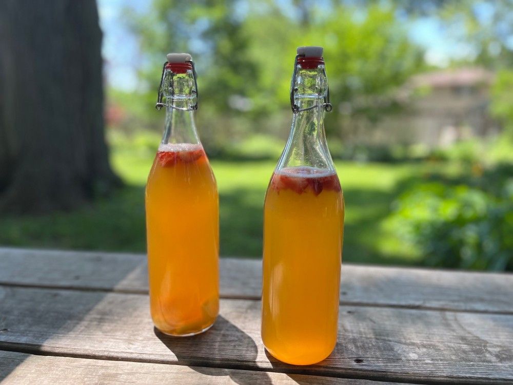 How to Brew Kombucha 