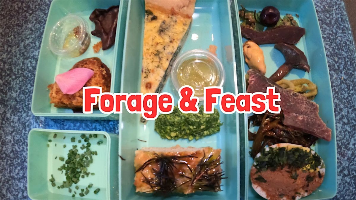 FORAGE & FEAST near Bolton (Lancashire)