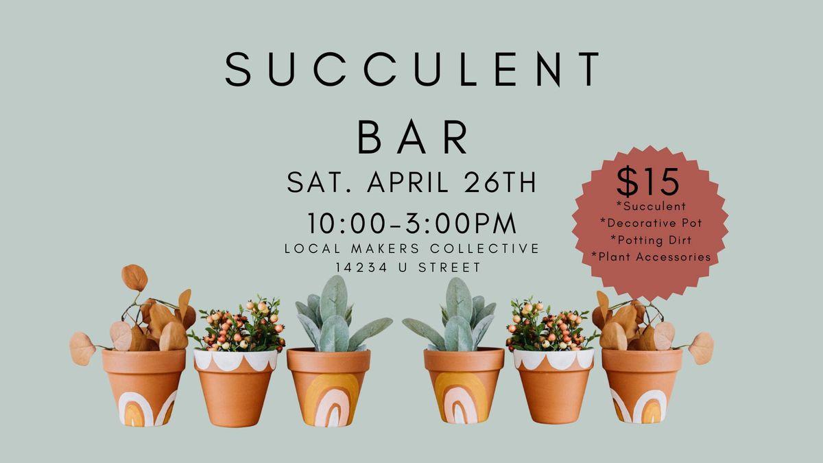 Succulent Bar