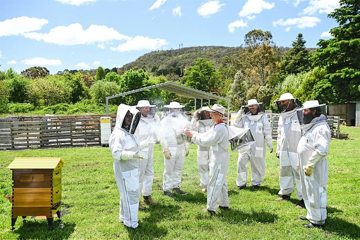 Copy of Copy of Beekeeping - Flow Hive Fun