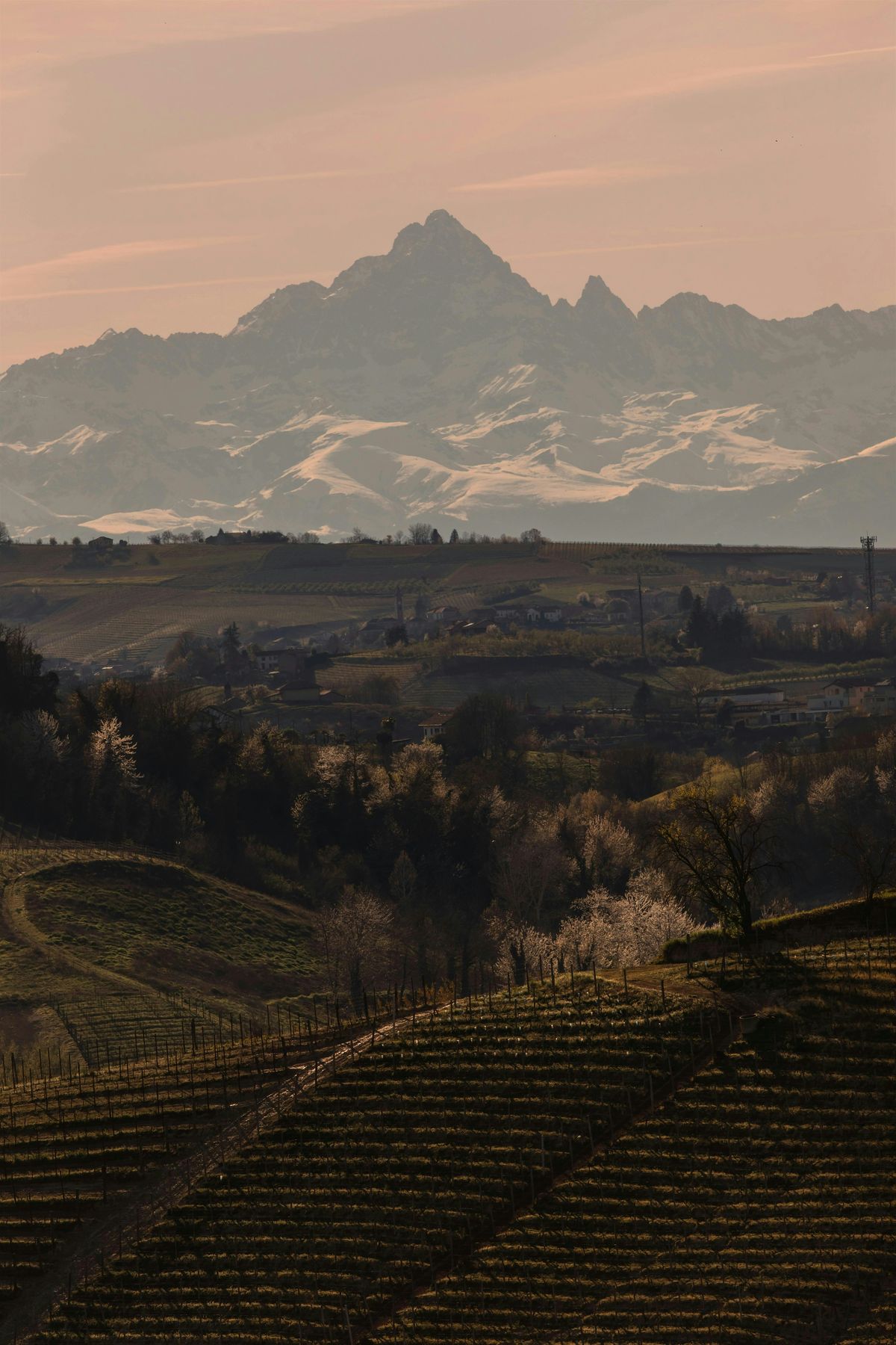 Montagne terre mobili: le migrazioni e le Alpi piemontesi