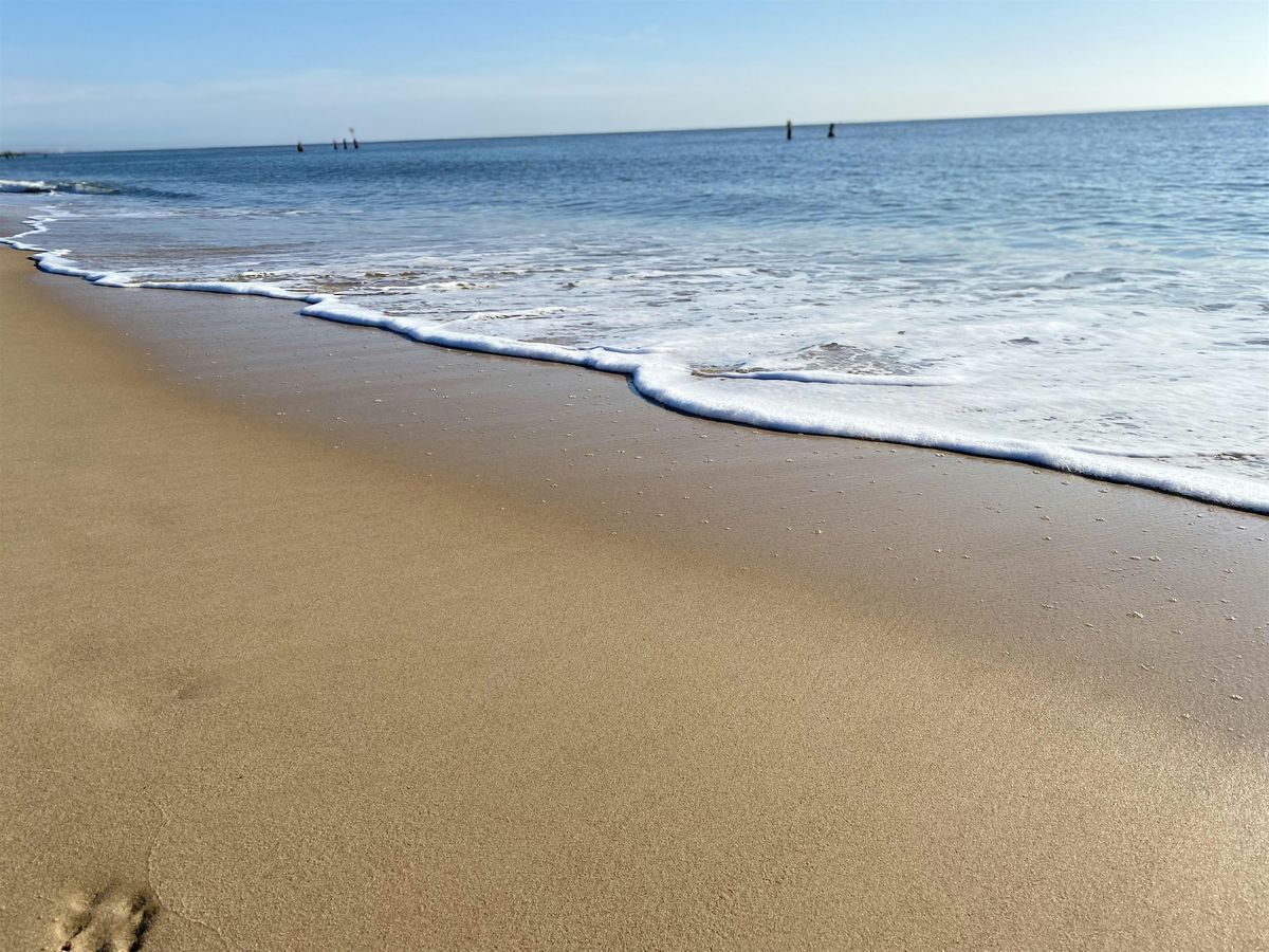 Beach Clean &  Survey: North Denes Beach,Lowestoft.