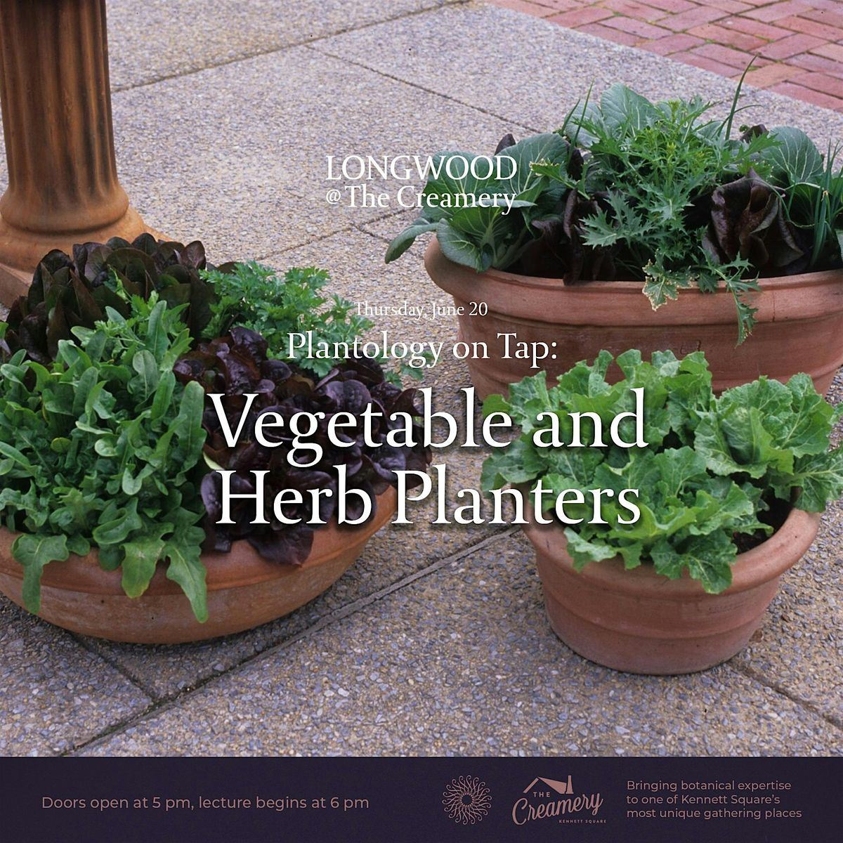 Longwood at The Creamery - Plantology on Tap - Vegetable and Herb Planters