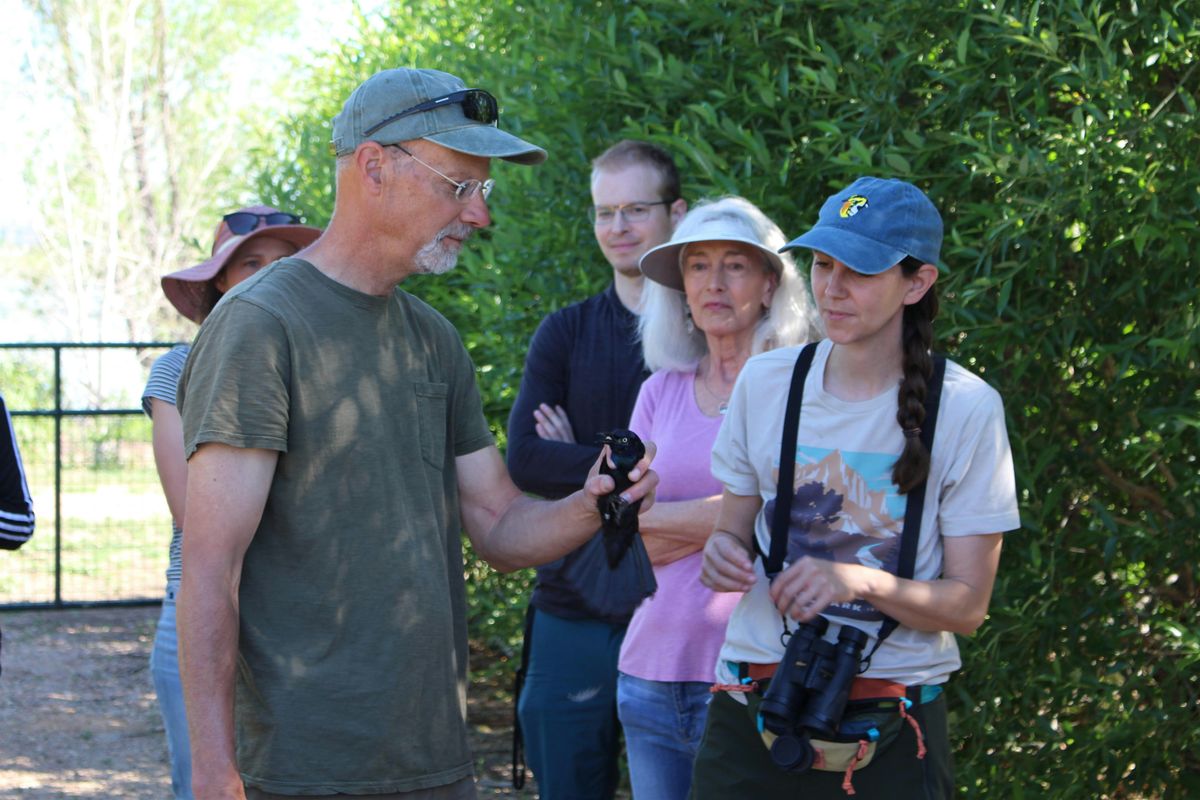 Monthly Bird Banding and Bird Walk (2025)