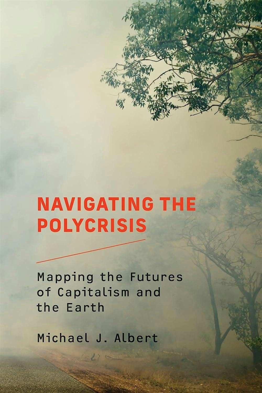 Book Launch: Navigating the Polycrisis: Mapping the Futures of Capitalism and the Earth