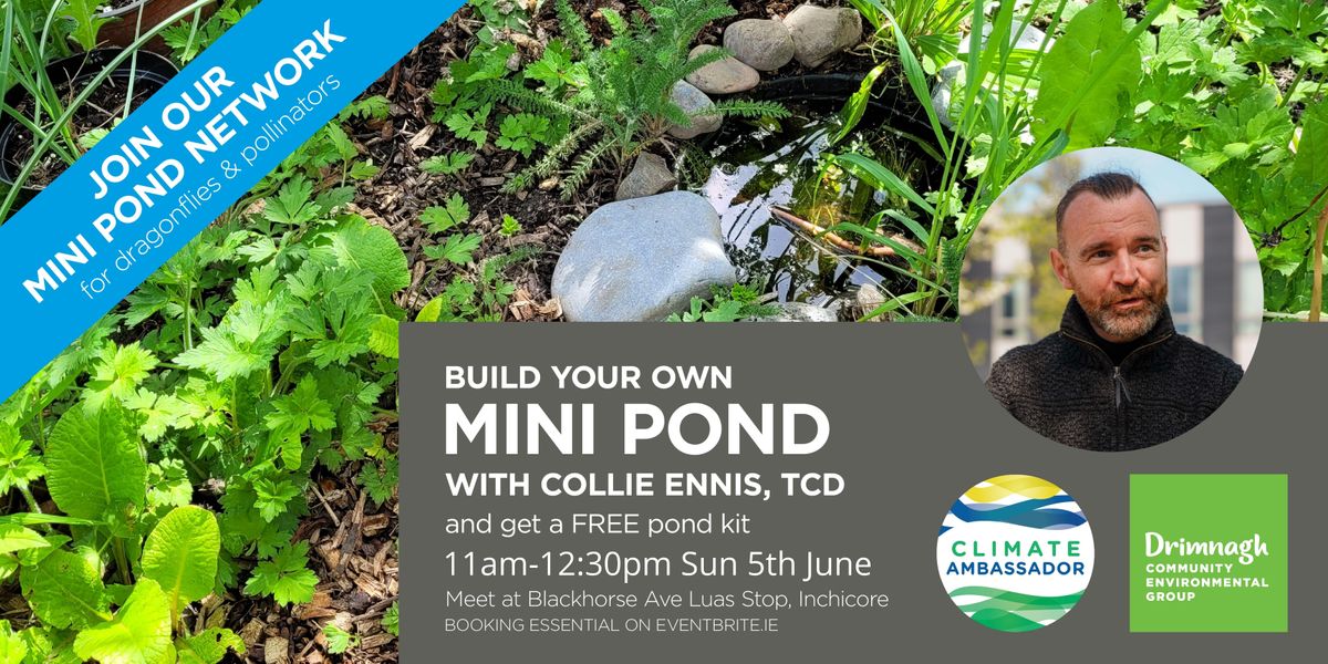 Mini Pond Workshop