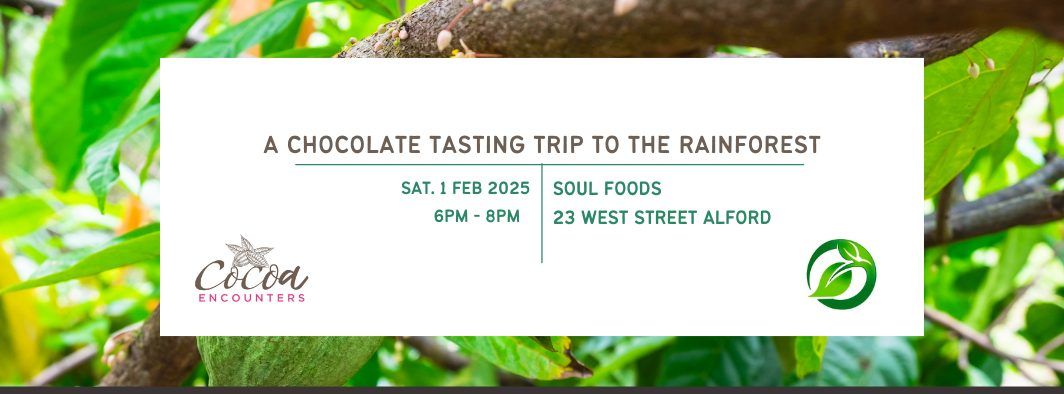 A CHOCOLATE TASTING TRIP TO THE RAINFOREST