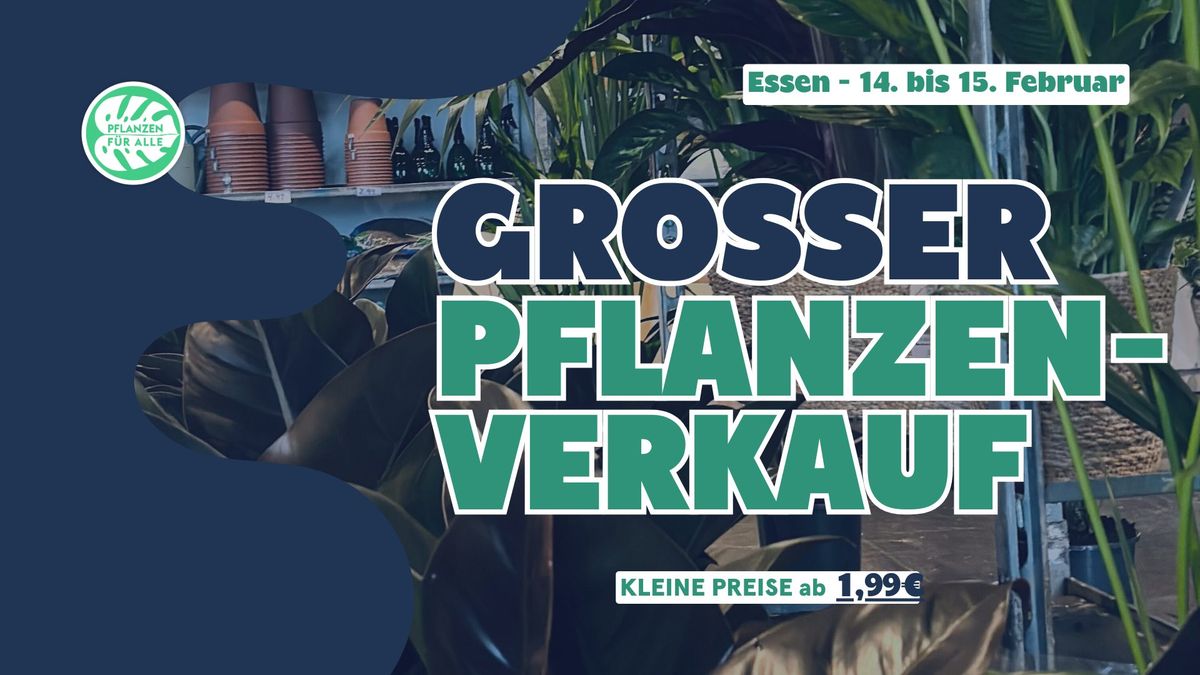 Gro\u00dfer Pflanzenverkauf - Essen