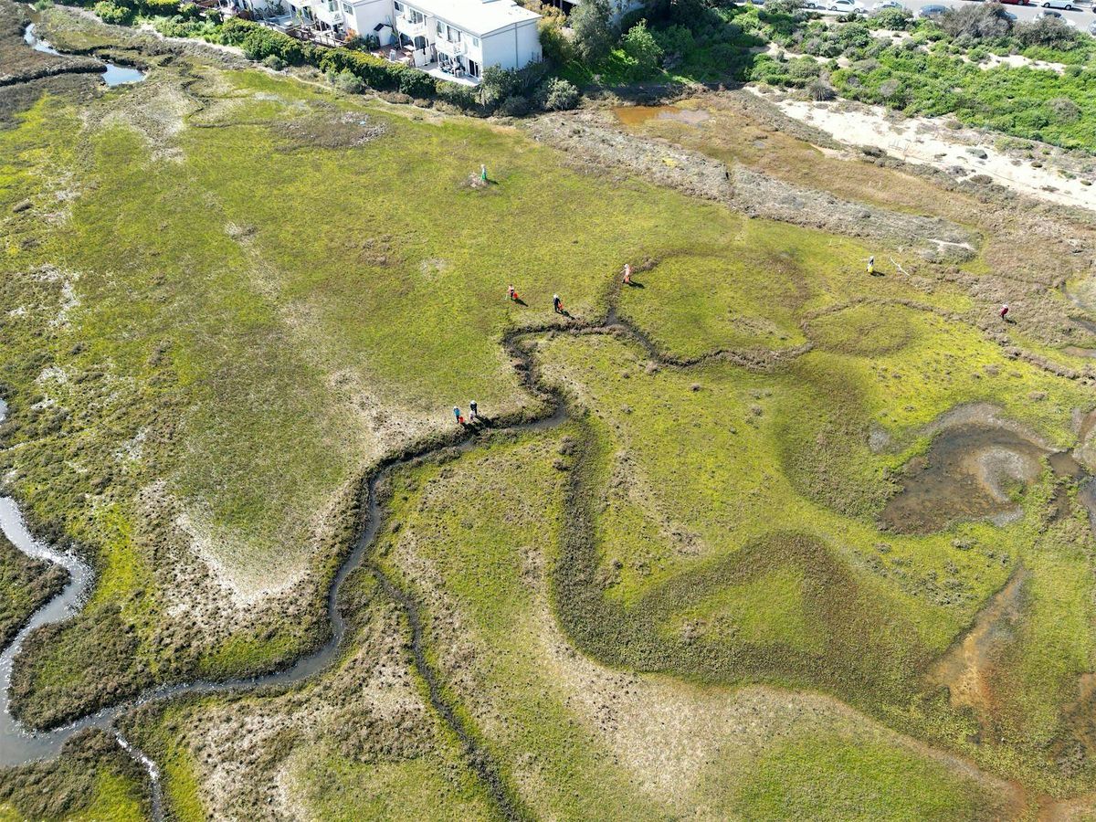 Kendall-Frost Marsh:  Wonders of the Wetlands