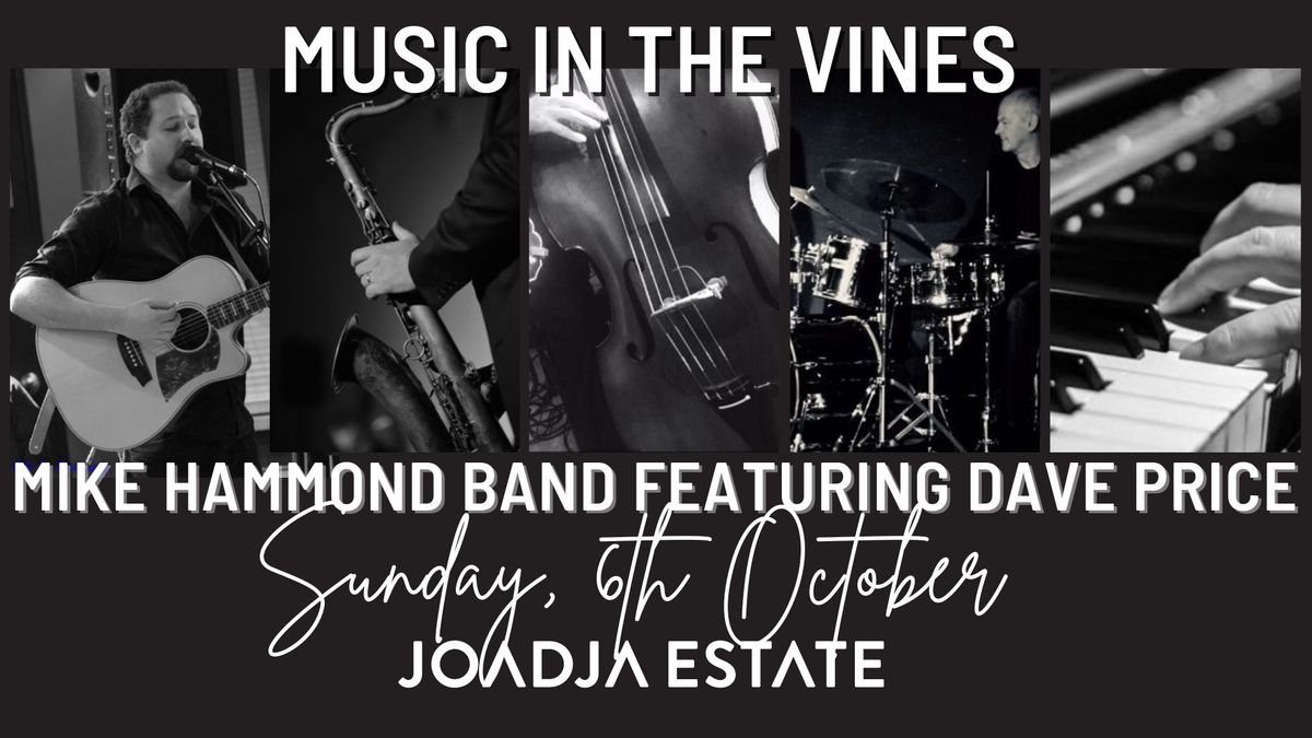 Free Music in the Vines - The Mike Hammond Band