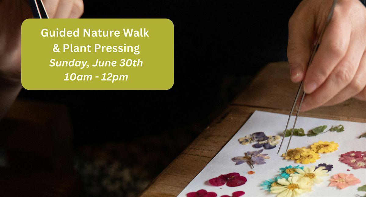 Guided Nature Walk & Plant Pressing  \/\/ 6.30.24