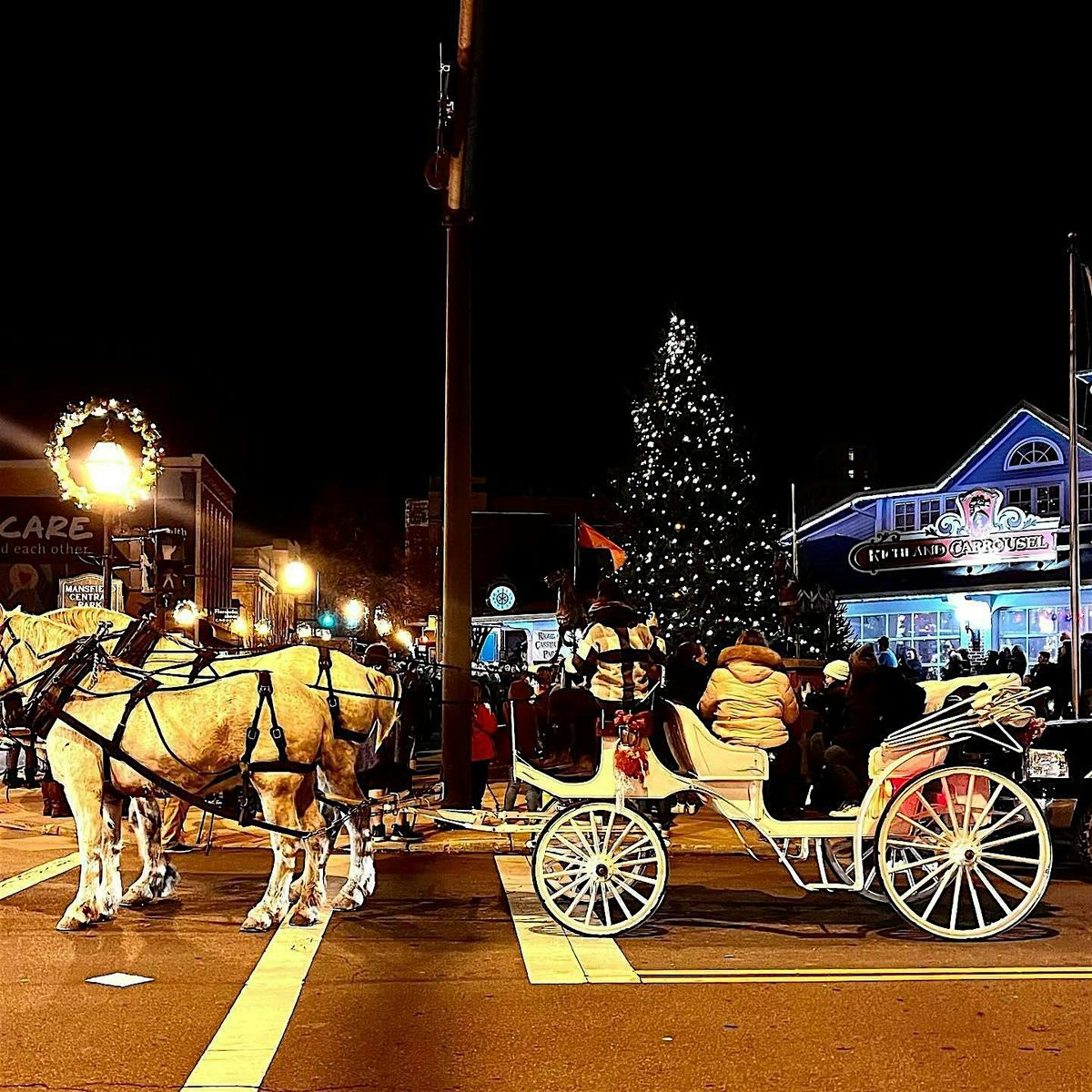 Christmas Time in The City Carriage Rides