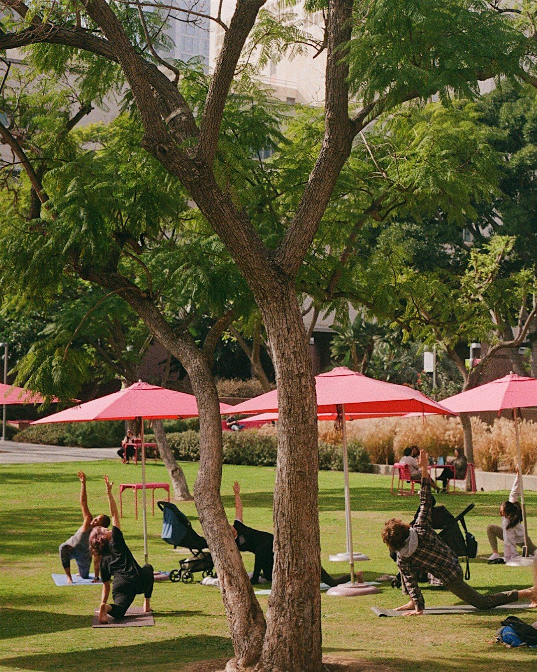 Gloria Molina Grand Park's Wellness Break:  Free Chair Yoga Class