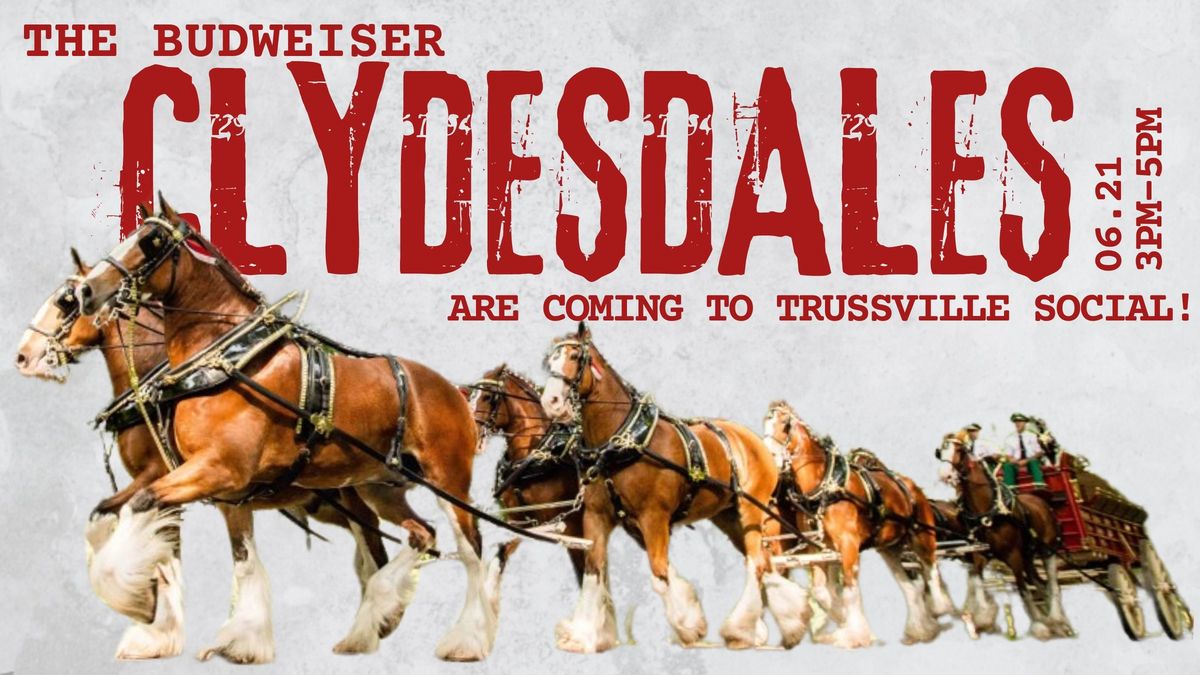 The Budweiser Clydesdales are Coming to TRUSSVILLE SOCIAL!