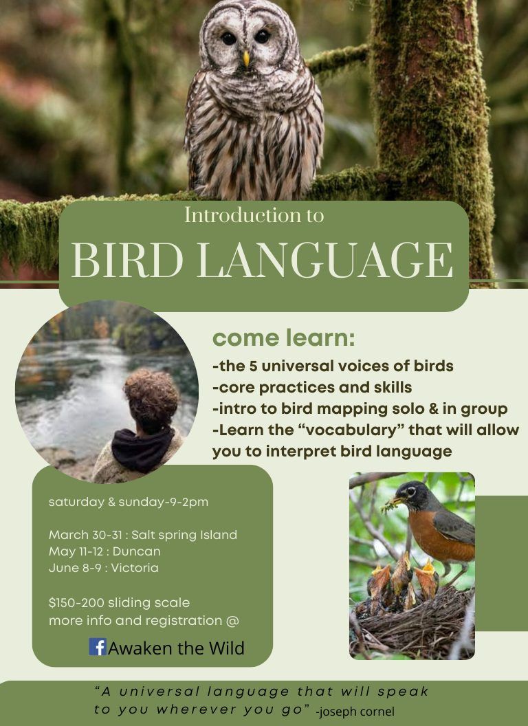 Intro to Bird Language two day workshop- VICTORIA