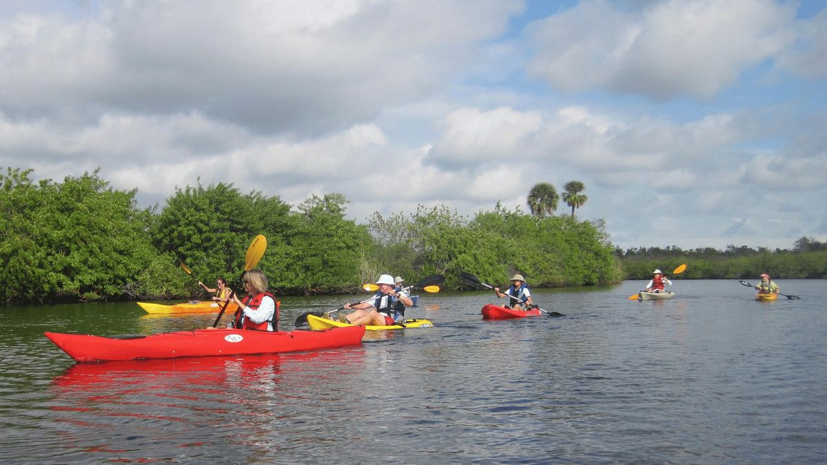 Guided Kayak Excursions