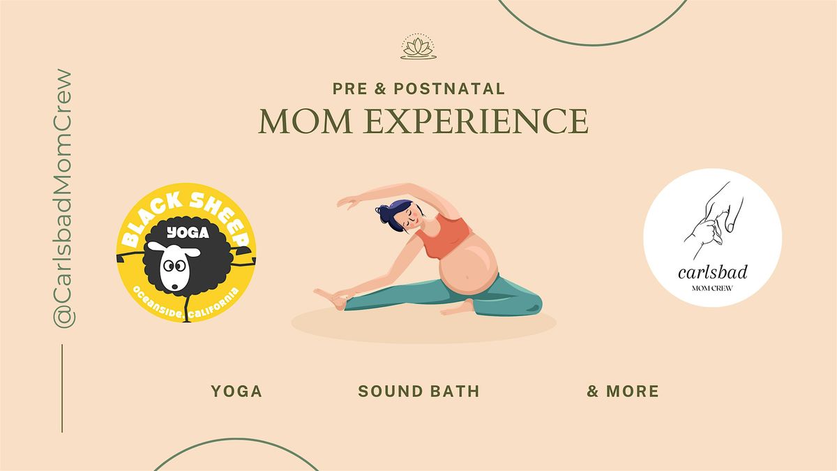 Prenatal & Postpartum Mom Experience