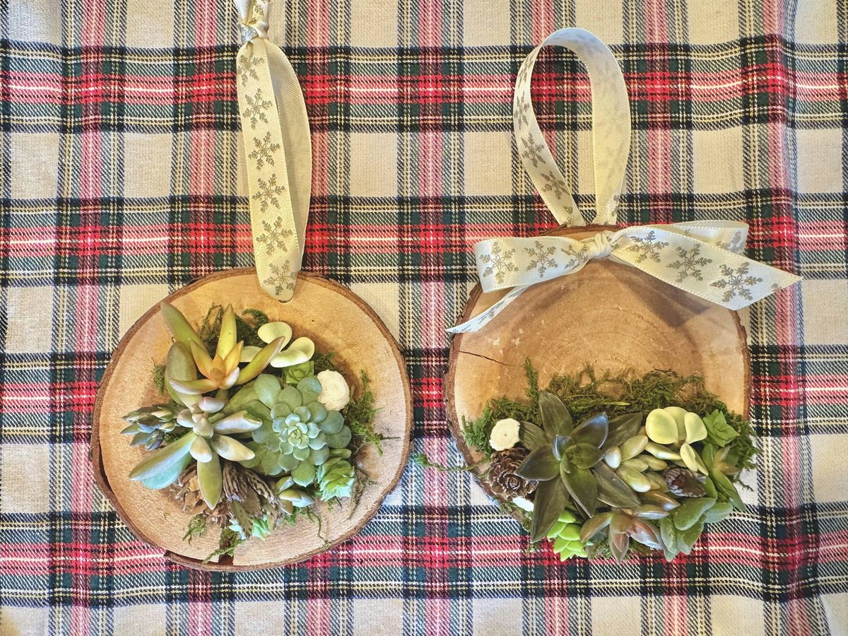 Succulent Ornament Workshop