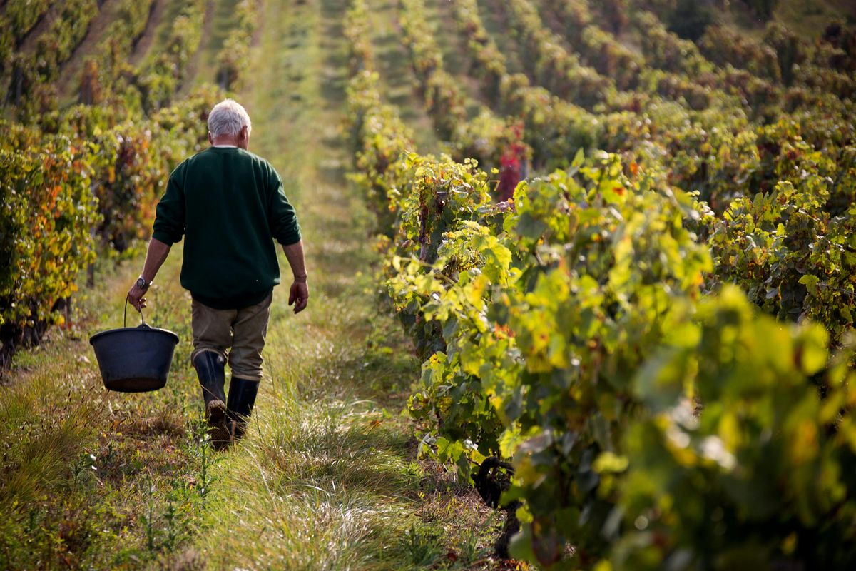 Wines of Burgundy \u2013 September 26th (Spring Mill Caf\u00e9)