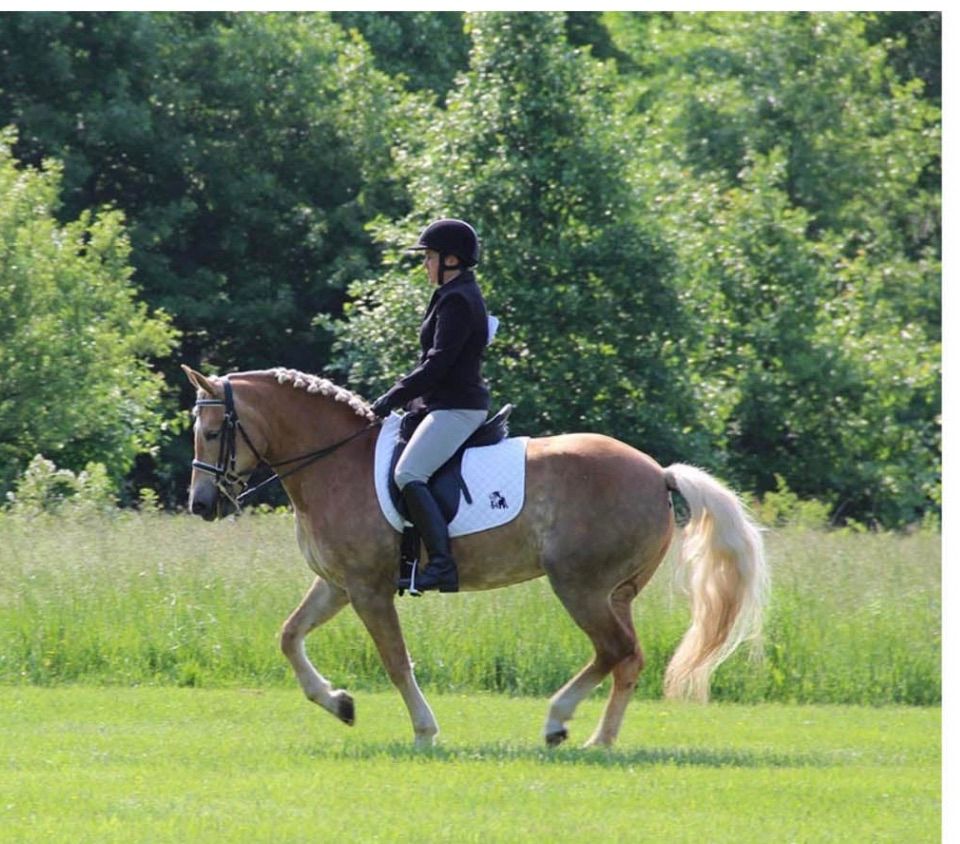 Dressage Clinic with Rachel Jelen