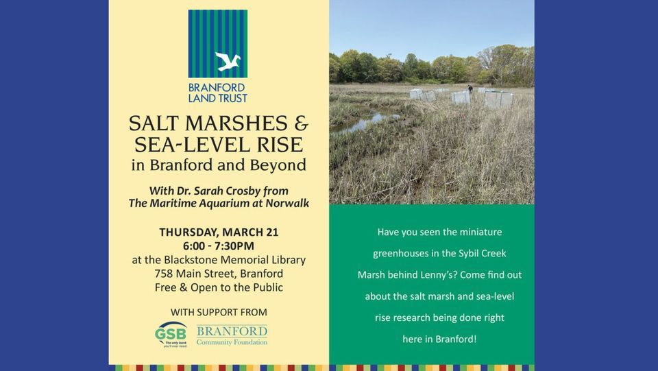 Salt Marshes and Sea-Level Rise: In Branford and Beyond!: Presented by the Branford Land Trust