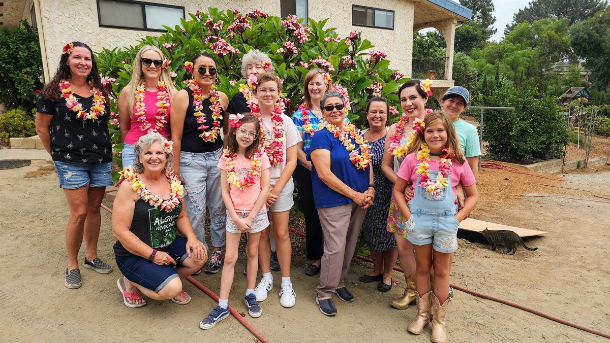 Make a Beautiful Hawaiian Plumeria Lei