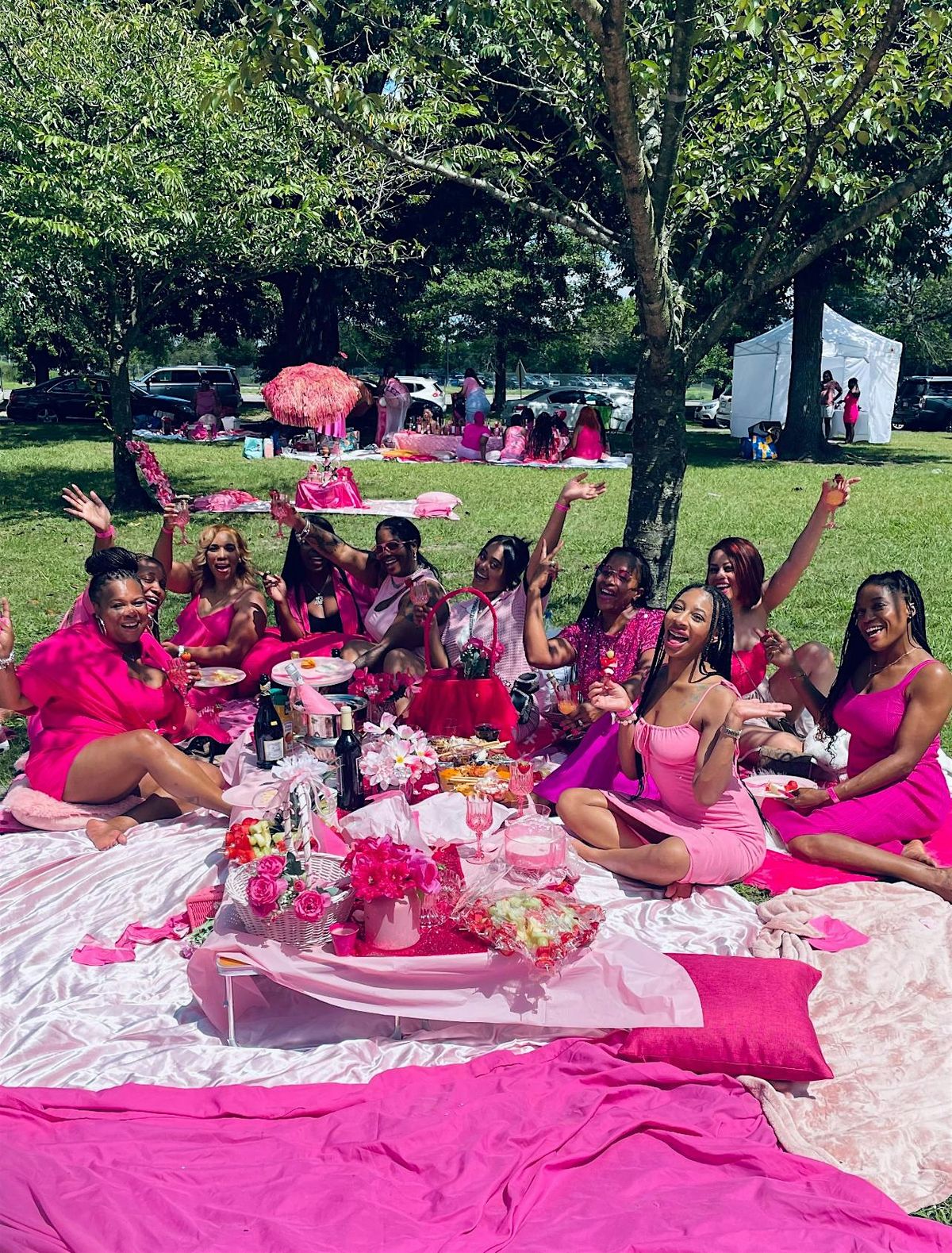 Pink Picnic In The Park