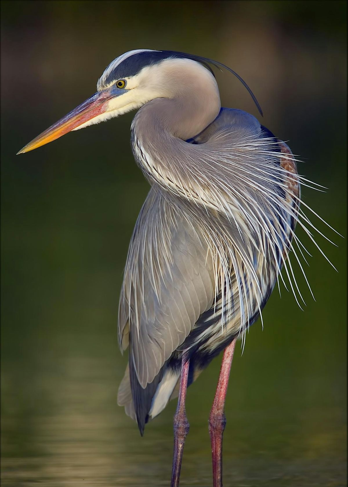 Nature Walk at Ulistac