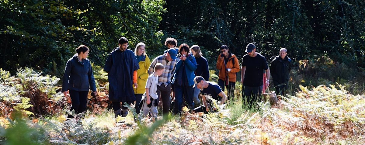 Wild Food Foraging Walk: NW8: August 24th