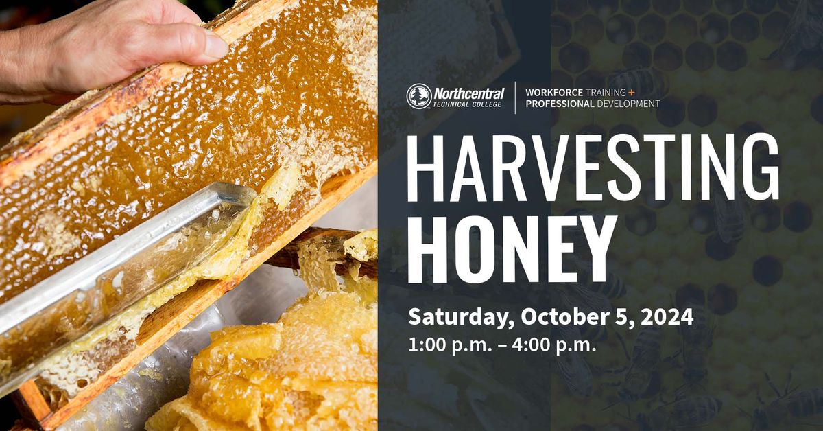 Harvesting Honey Workshop