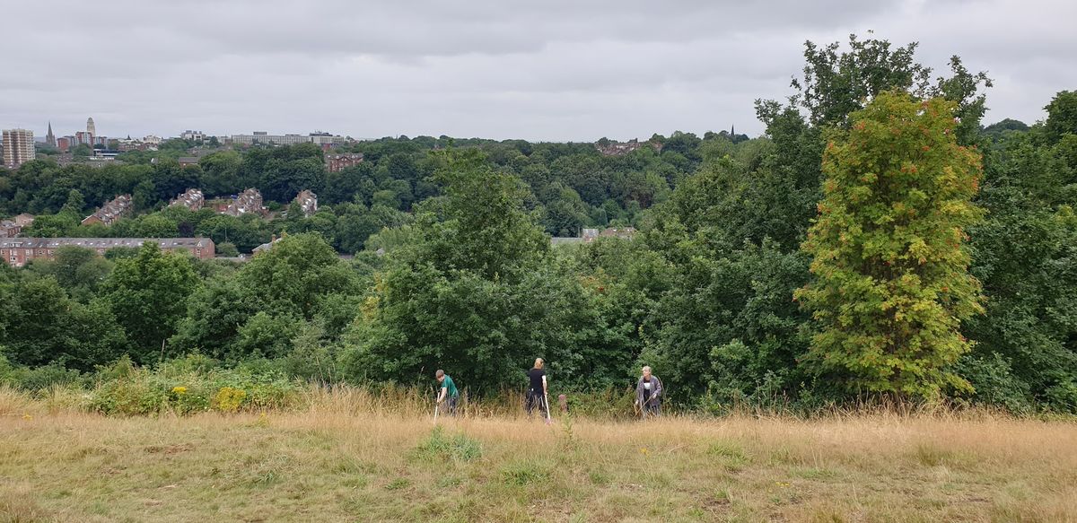 July Action Day: Meadow scything