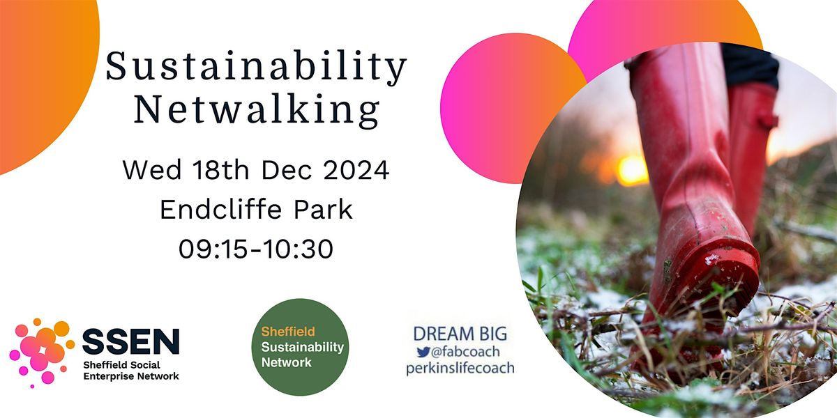 Sustainability Netwalking: December