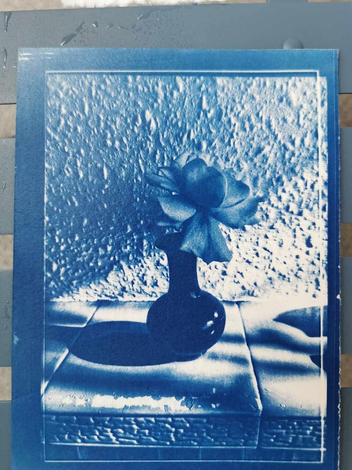 Alternative photography - cyanotype  printmaking workshop