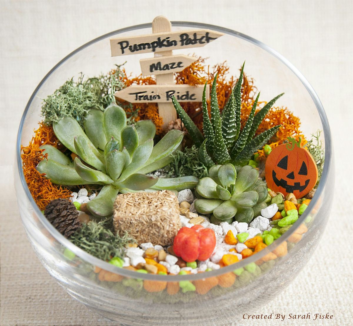 Family Plant Party: Make a Succulent Terrarium