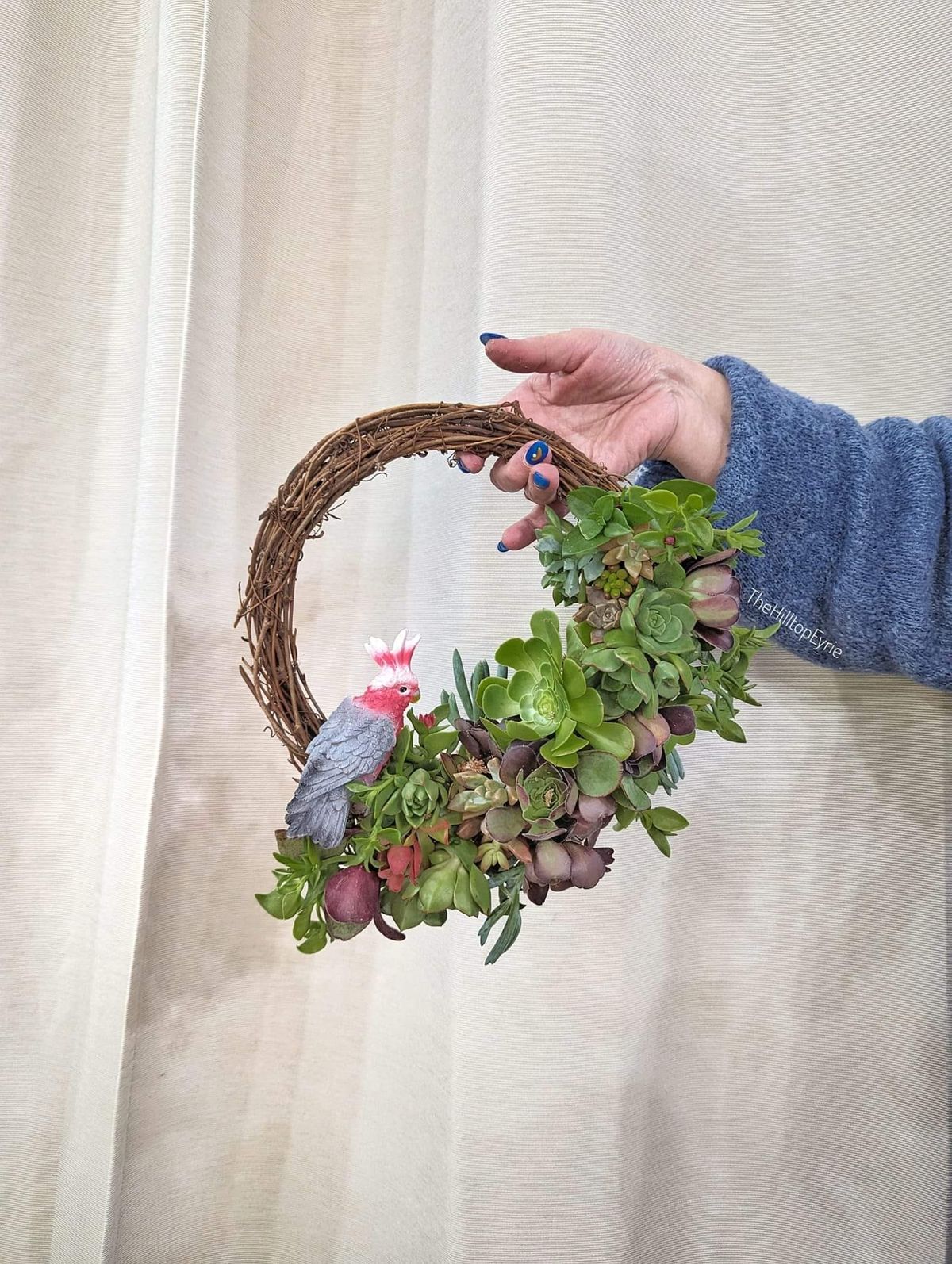 DEC Succulent Wreath Workshop 