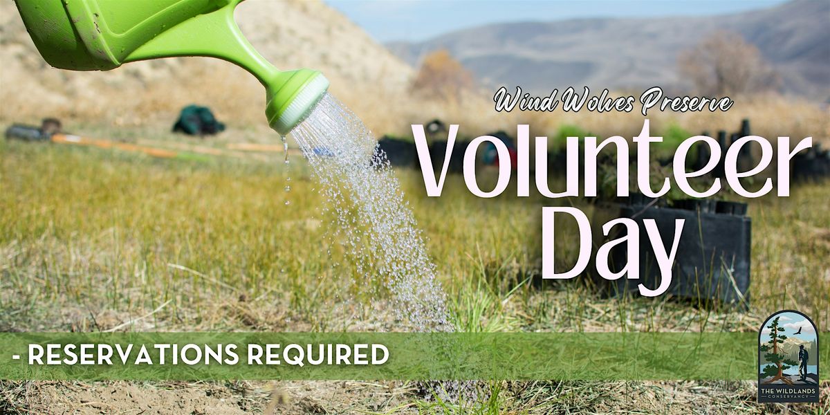 Volunteer Day: Plant Watering -  Wind Wolves Preserve
