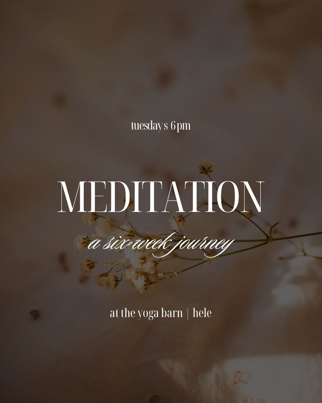 Meditation course