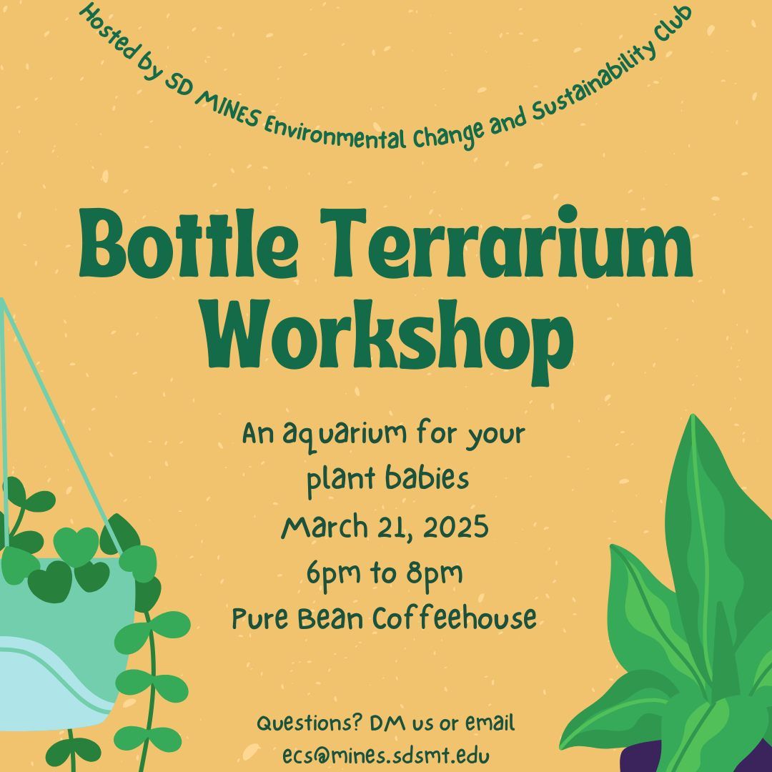 Bottle Terrarium Workshop