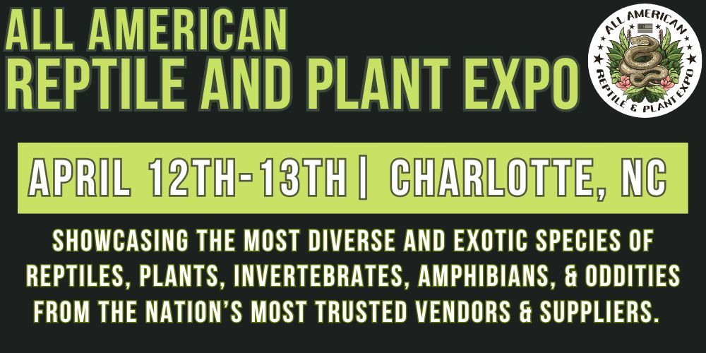 Charlotte All American Reptile & Plant Expo