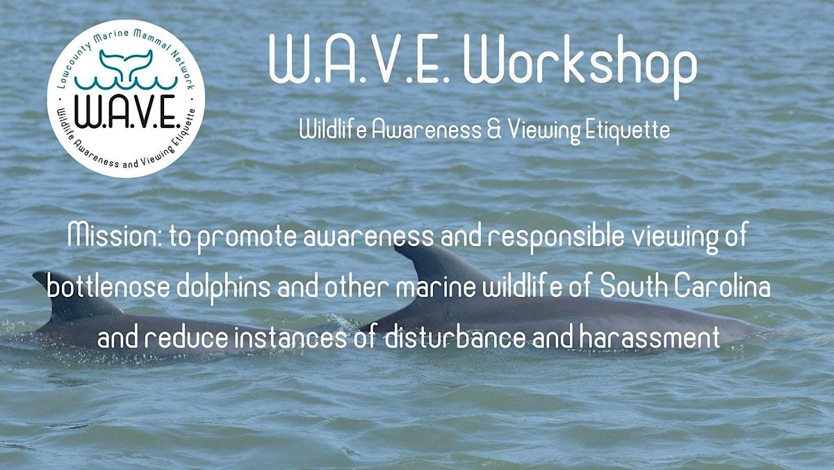 W.A.V.E. Workshop - Commercial Businesses