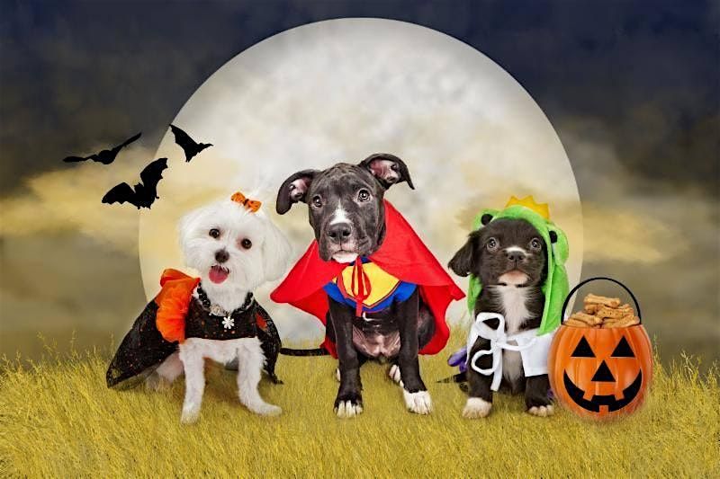 Bring Your Dog To Music Bingo Howl-O-Ween