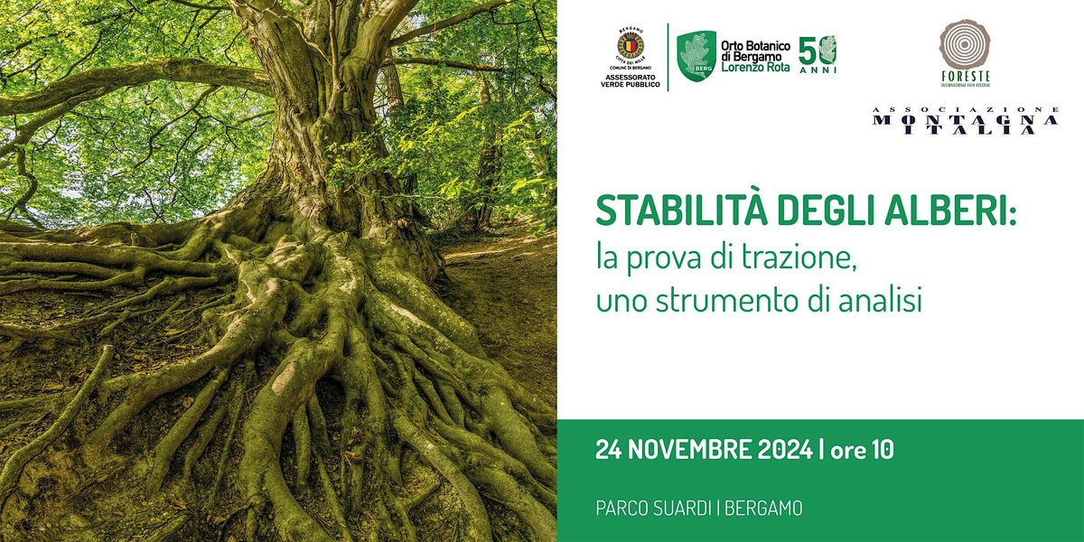 Stabilit\u00e0 degli alberi: la prova di trazione uno strumento di analisi