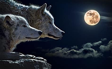 Full Wolf Moon Sound Healing Journey