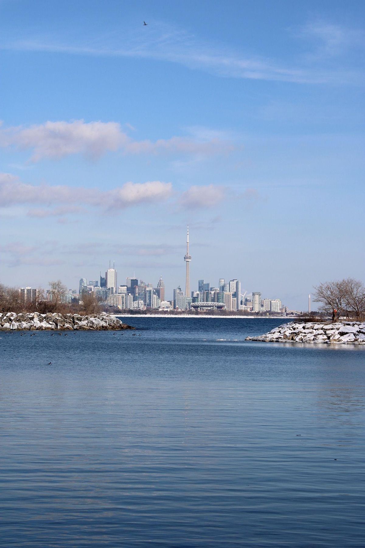 Humber Bay and Waterfront Hike