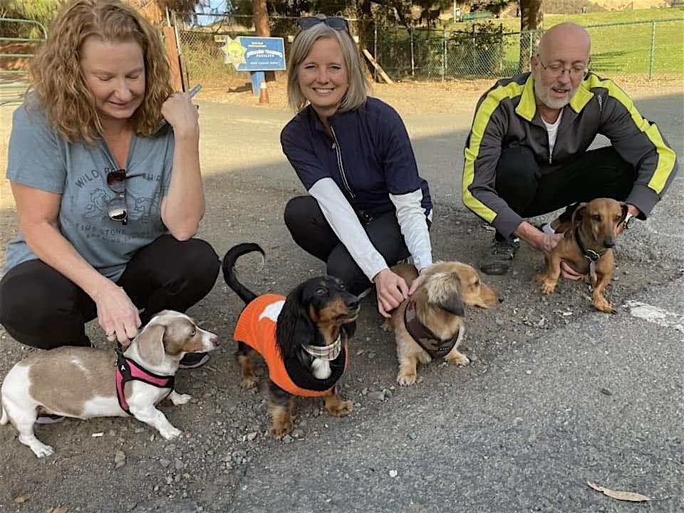 Munch & Friends, a Dachshund Hike and Meetup in Walnut Creek, CA